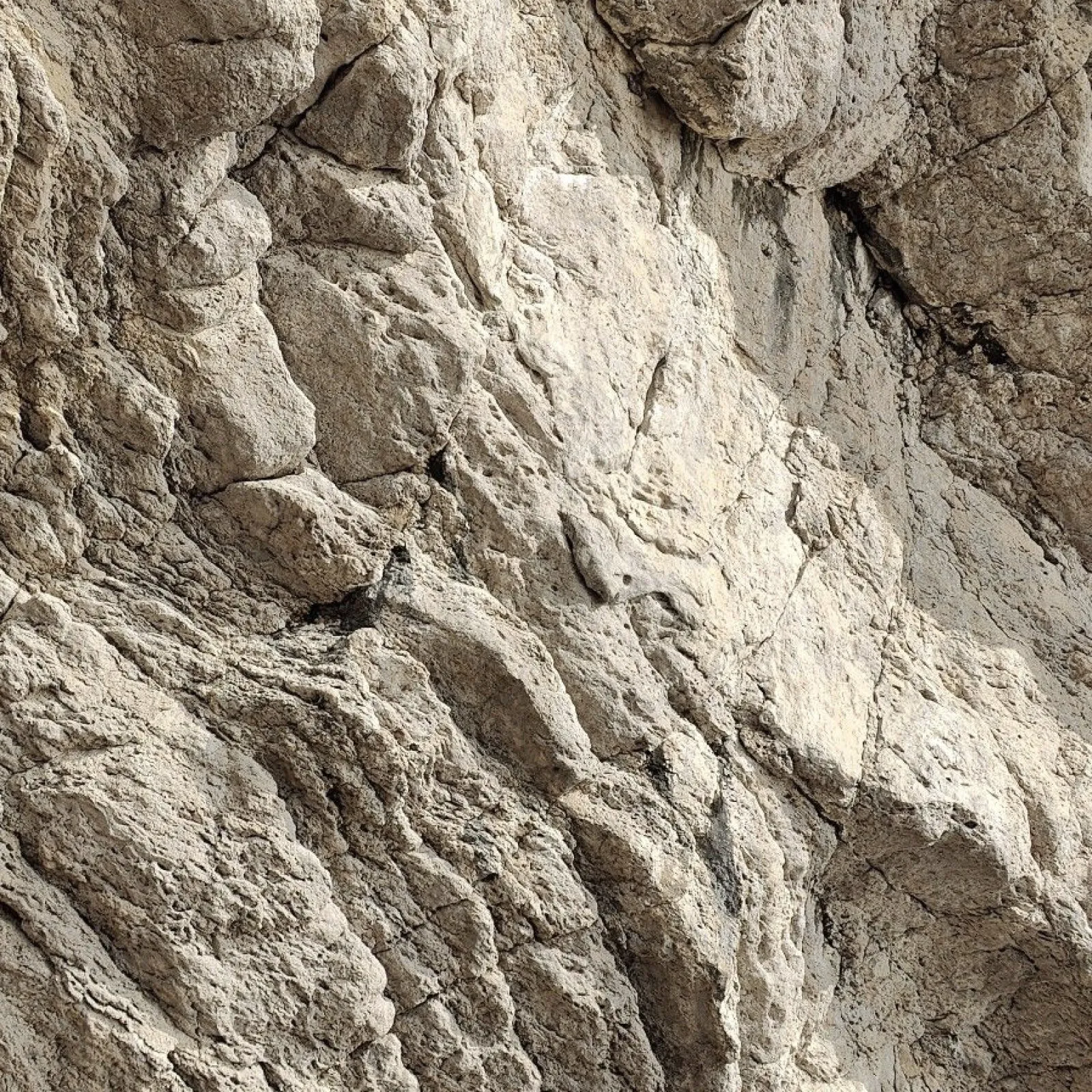 Close-up of weathered Dolomite limestone