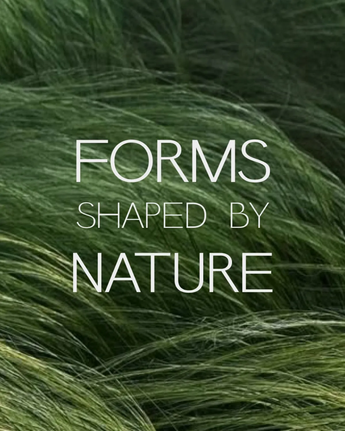Forms shaped by nature, over wind-blown grass