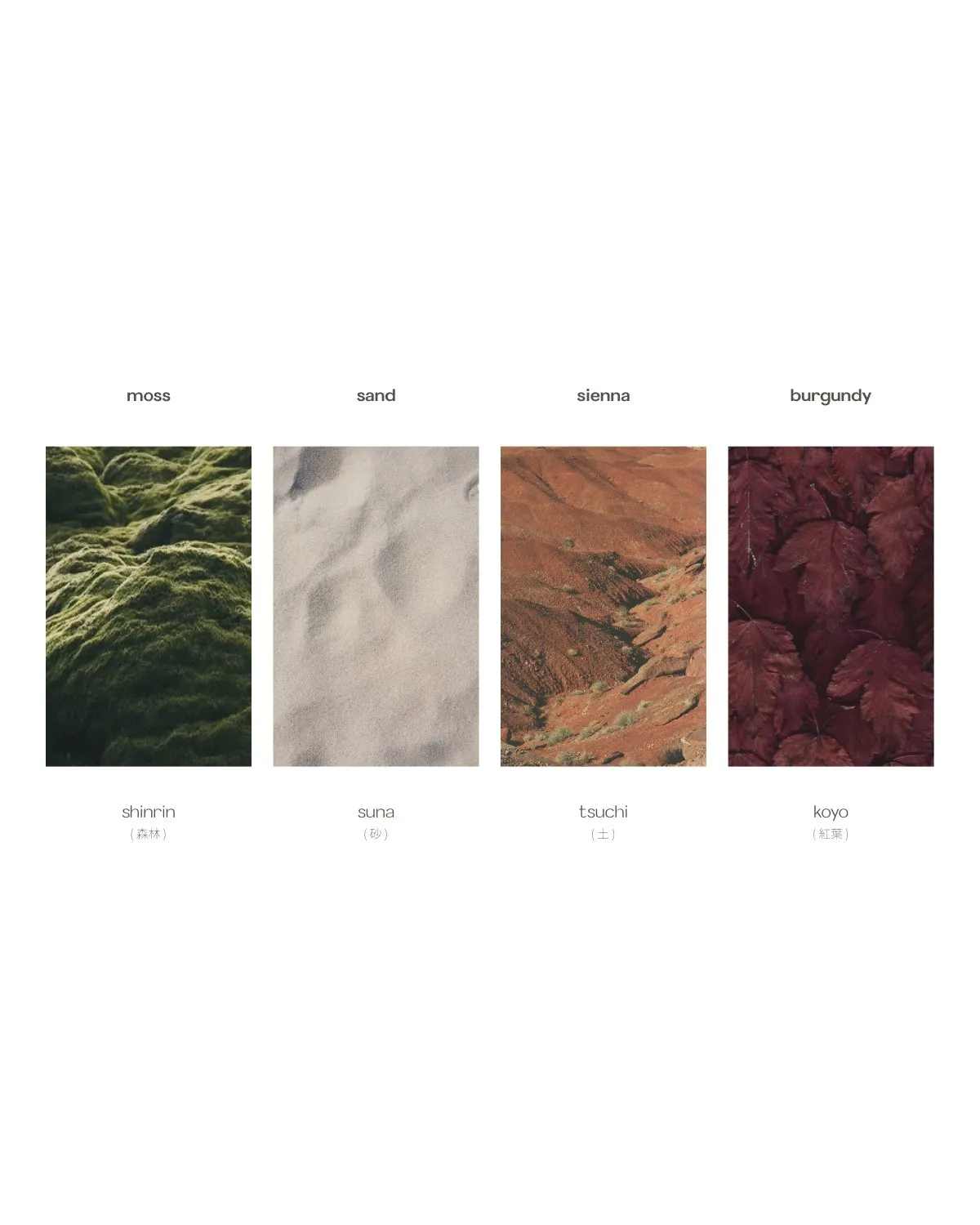 Moss, sand, sienna and burgundy with their Japanese names